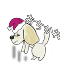 ミックス犬ダップー/クレちゃんスタンプ冬（個別スタンプ：34）