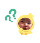 KBねこ（個別スタンプ：3）
