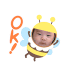 KBねこ（個別スタンプ：6）
