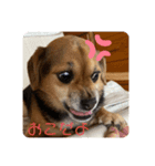 エライザの日常①（個別スタンプ：3）