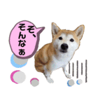 かりんでございますぅ。（個別スタンプ：1）