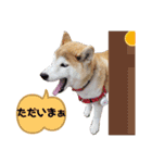 かりんでございますぅ。（個別スタンプ：2）