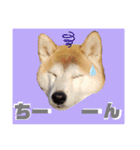 かりんでございますぅ。（個別スタンプ：4）