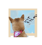 かりんでございますぅ。（個別スタンプ：6）