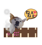 かりんでございますぅ。（個別スタンプ：7）