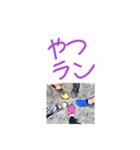 やつらん☆谷津ラン（個別スタンプ：1）