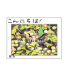 ミチコばあのスタンプ no3   稔の秋（個別スタンプ：21）