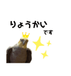 オカメインコかわいい（個別スタンプ：3）