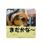 エライザの日常②（個別スタンプ：1）