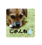 エライザの日常②（個別スタンプ：2）