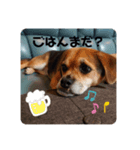 エライザの日常②（個別スタンプ：3）