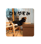 エライザの日常②（個別スタンプ：4）