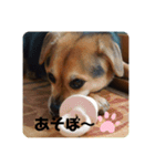 エライザの日常②（個別スタンプ：5）