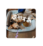 エライザの日常②（個別スタンプ：6）