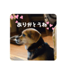 エライザの日常②（個別スタンプ：7）