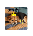 エライザの日常②（個別スタンプ：8）