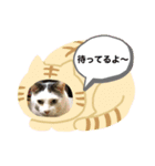ピー助じーさんスタンプ（個別スタンプ：3）
