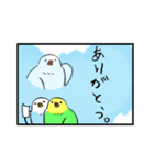 インコトリオ生活2（個別スタンプ：5）