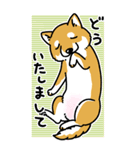 柴犬スタンプ24～でか柴～赤柴BIGスタンプ（個別スタンプ：14）