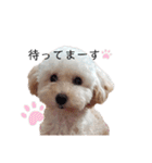 あんずちゃんver.2（個別スタンプ：3）