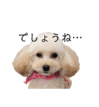 あんずちゃんver.2（個別スタンプ：20）