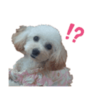 あんずちゃんver.2（個別スタンプ：27）