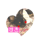 osoraのすたんぷ（個別スタンプ：2）