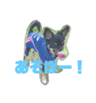 osoraのすたんぷ（個別スタンプ：5）