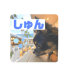 osoraのすたんぷ（個別スタンプ：8）