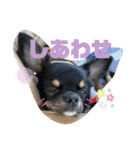 osoraのすたんぷ（個別スタンプ：11）