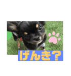 osoraのすたんぷ（個別スタンプ：14）