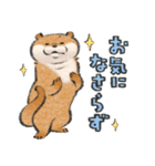 可愛い嘘のカワウソ10（個別スタンプ：6）