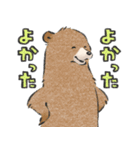 可愛い嘘のカワウソ10（個別スタンプ：35）