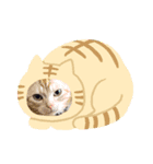 みるくここあのスタンプ（個別スタンプ：7）
