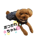 ポコすたんぷ#09（個別スタンプ：1）