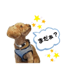 ポコすたんぷ#09（個別スタンプ：9）