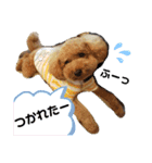 ポコすたんぷ#09（個別スタンプ：12）