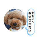 ポコすたんぷ#09（個別スタンプ：18）