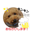 ポコすたんぷ#09（個別スタンプ：19）