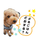 ポコすたんぷ#09（個別スタンプ：20）