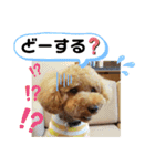 ポコすたんぷ#09（個別スタンプ：21）