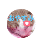 Iluv…SORA（個別スタンプ：1）