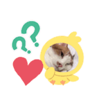 Iluv…SORA（個別スタンプ：4）