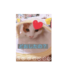 Iluv…SORA（個別スタンプ：7）