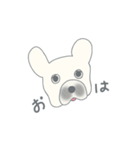 pig or dog（個別スタンプ：1）