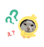 おかっぱマロちゃんスタンプ2（個別スタンプ：13）