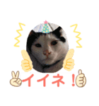 おかっぱマロちゃんスタンプ2（個別スタンプ：15）