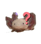 ウーパールーパーのぱー子（個別スタンプ：2）