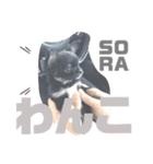 osoraのすたんぷ3（個別スタンプ：2）