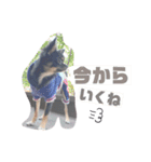 osoraのすたんぷ3（個別スタンプ：10）